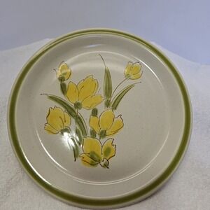 Stonybrook Stoneware Dinner Plate Spring Collection Yellow Flowers Green Japan
